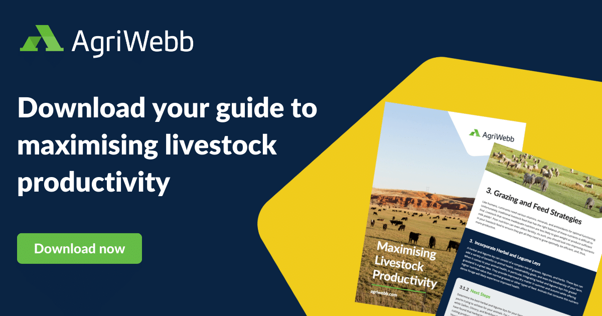 Guide: Maximising Livestock Productivity